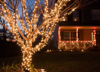 Bored Regulators Decide To Regulate Christmas Lights christmas-lights