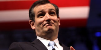 ted cruz