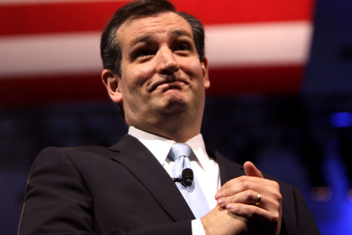ted cruz