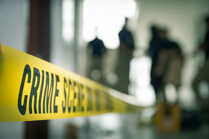 Murder Investigation