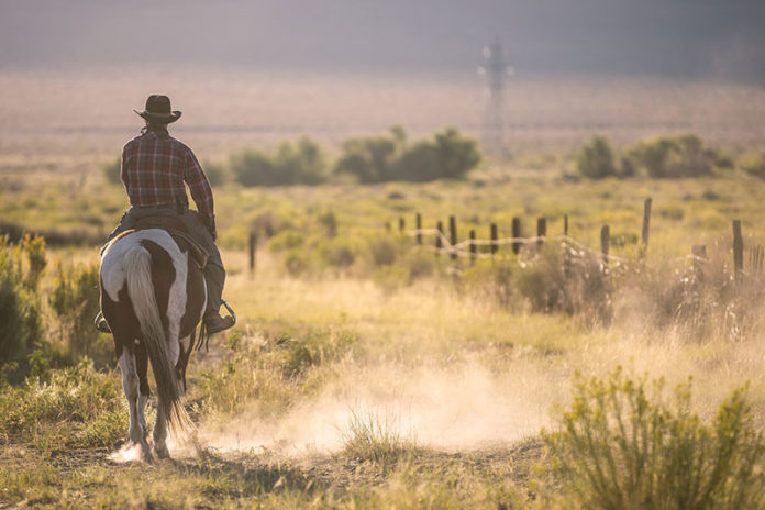 Ranch Land