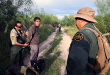 Border Patrol Sting