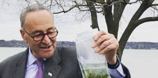 Chuck Schumer
