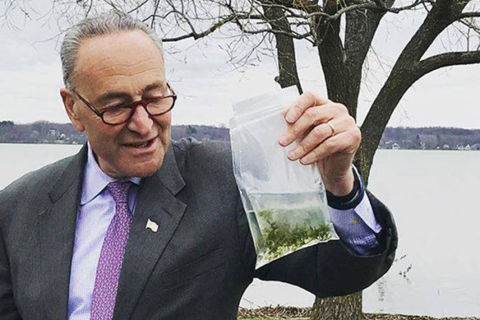 Chuck Schumer Chuck Schumer