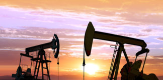Oil