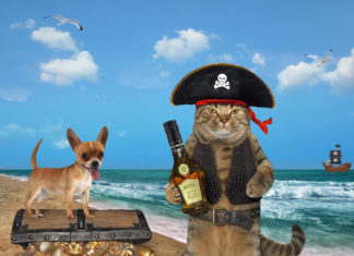 Arrrrgh. Pirate Booty.