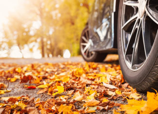 Let Them Drive Teslas